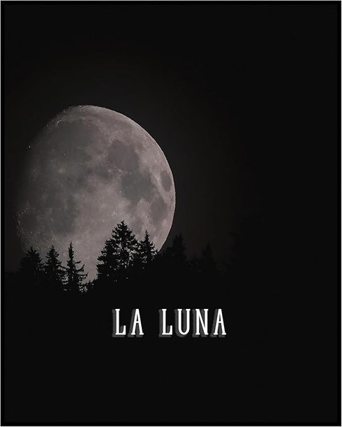 Posterizer 1 pcs-Lunar Full Moon Print-Minimal Dark Design-Landscape & Nature Art-Quotes and Poems-Decor for Home & Office- unframed wall art...