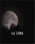 Posterizer 1 pcs-Lunar Full Moon Print-Minimal Dark Design-Landscape & Nature Art-Quotes and Poems-Decor for Home & Office- unframed wall art...