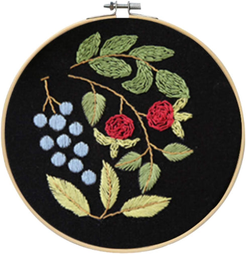 Sanlykate Full Range Embroidery Starter Kit - Embroidery Cloth with Pattern and Instructions, including Bamboo Hoop, Color Threads, Tools Kit for ...