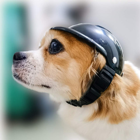 Dog Helmet Pet Motorcycle Helmet Safety Dog Cap for Biking Cycling, Small Doggie Puppy Helmet Pet Hat (S, Black)...
