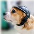 Dog Helmet Pet Motorcycle Helmet Safety Dog Cap for Biking Cycling, Small Doggie Puppy Helmet Pet Hat (S, Black)...