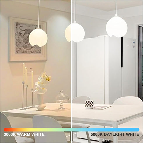 6-Pack 14W LED Dimmable Light Bulbs 100 Watt Equivalent, A19 LED Light bulbs Bright 1500LM LED Bulbs with E26 Standard Medium Base for Kitchen Bed...