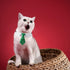 Dog Collar, Soft Polyester Dog Bow Tie with Metal Buckle for Large, Medium and Small Boys Cat Dog Tie (Medium, Green/White)...