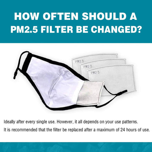 50 PCS PM 2.5 Filters Activated Carbon Filter Replaceable (50 pcs)...
