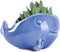 VanEnjoy 5" Ceramic Succulent Pot, Cute Ocean Blue Seashell Series, Conch Shaped Cactus Pot Planter, Flower Pot, Pottery Bonsai Pot (Dark Blue Wha...