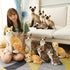 Siamese Cat Stuffed Animal, Shorthair Cat Realistic Plush Cat Stuffed Toys, Gift for Kids 12inches (B)...