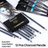 Dyvicl Professional Charcoal Pencils Drawing Set - 12 Pieces Soft, Medium & Hard Charcoal Pencil for Drawing, Sketching, Shading, Artist Pencils f...