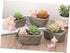 Yardwe 1pc Ceramic Planter Plant Pots Ceramic Cactus Planter Resin Planter Unique Pot Resin Pot Decorative Airplant Pot Cactus Pot Mini Container ...