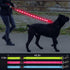 BSEEN LED Dog Leash - USB Rechargeable Light Up Dog Leash - Glowing Pet Leash - LED Dog Lead for Nighttime Dog Walking (Pink?, 47 Inch)...