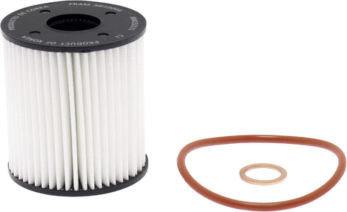 FRAM Ultra Synthetic Automotive Replacement Oil Filter, Designed for Synthetic Oil Changes Lasting up to 20k Miles, XG10066 with SureGrip (Pack of...