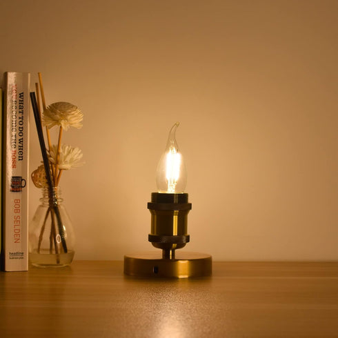 25W Equivalent E26 LED Bulb, Dimmable E26 Candelabra Light Bulbs, Energy Efficient 2W, Warm White 2700K, 200lm Flame Tip CA10 LED Candle Bulb for ...