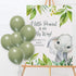12 Inch Sage Green Balloons Eucalyptus Bridal Shower Balloons Greenery Gender Neutral Baby Shower Decorations Olive Green Party Balloons 40 Count...