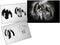 Step by Step Airbrush Stencil Template AS-106 M ca. 5,11" x 3,95"...