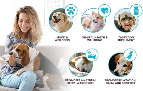 Multi-Formula Dog Supplement for Smaller Dogs - 10mg HMR Lignans, 1mg Melatonin, 20mg Milk Thistle - Helps Heart, Liver, Digestion, Skin & Coat He...