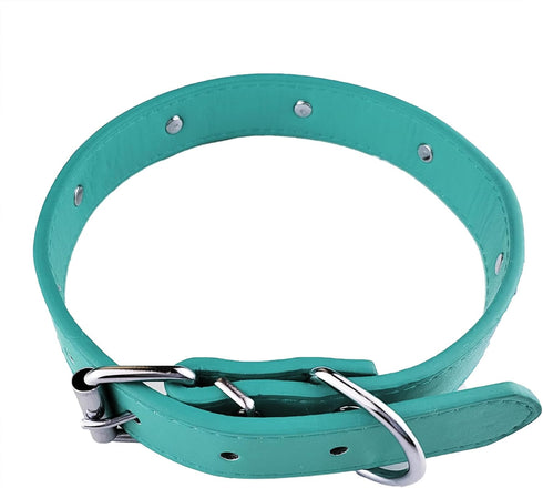 New Skull Dog Collar Skeleton Cat Collar Skull Design Pet Collar for Dogs and Cat Blue Small Fits for Neck Girth from 10" to 13"...