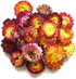 TooGet Fragrant Dried Flowers and Herbs Accessories Decorations 9 Bags Set Dry Flowers for Soap Bath Bombs Making and Dried Flower Crafts...