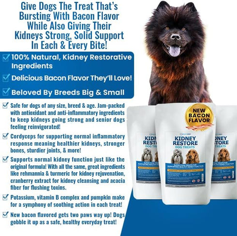 Kidney Restore Bacon Dog Treats 8oz for Petite Dogs. Low Protein Dog Treats for Kidney Support for Small Dogs. Renal Treats for Any Kidney Dog Die...