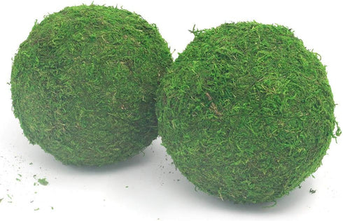 Nice purchase Handmade Natural Green Plant Moss Balls Decorative for Home Party Display Decor Props (6 in)...