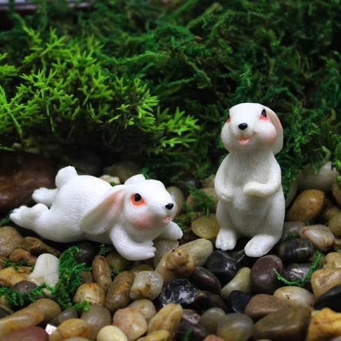 4Pcs Cute Rabbit Miniature Figurines and Cute Squirrel Decorative Fairy Garden Accessories Hand Drawn DIY Miniature Garden Decoration for Rooftop ...