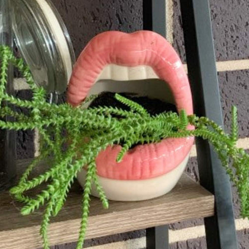 lemonadeus Multi-role Ceramic Sexy Lips Planter Stylish Lip Pot/Gadget Storage Mouth Planter Unique Ash Tray Ceramic Container (Pink)...