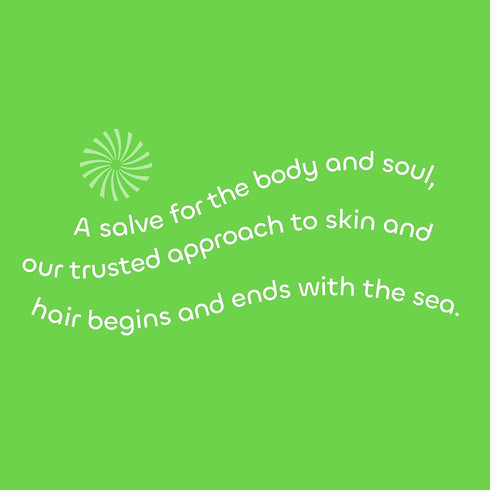 Seaweed Bath Co. Balance Conditioner, Eucalyptus Peppermint Scent, 12 Ounce, Sustainably Harvested Seaweed, Pro Vitamin B5, For Normal to Oily Hai...