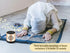 Portable Digital Quran Speaker with Remote Control over18 Reciters and 15Translations Available Quality Qur'an Speaker Arabic English French, Urdu...