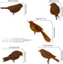 5PCS Metal Bird Silhouette with Rusty, Rusty Birds Decoration, Metal Birds Statues, Lifelike Patina Metal Birds Garden Ornaments Silhouette...
