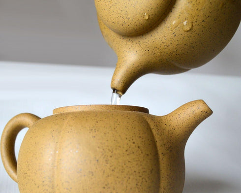 Teapot 8oz Chinese Clay Zisha Tea Pots Yellow Zini Eggplant for Loose Tea Coffee (Yellow)...