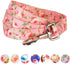 Blueberry Pet 9 Patterns Durable Spring Scent Inspired Floral Rose Baby Pink Dog Leash 5 ft x 3/4", Medium, Leashes for Dogs...