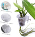 6Pcs Acrylic Aquarium Plant Holder Top of Tank Aquatic Plant Cups Aquarium Plant Pot Fish Tank Plant Basket Aquarium Planter Cups for Aquarium Dec...