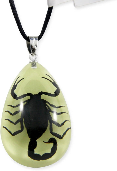 REALBUG Black Scorpion Glow in The Dark Necklace, Small...