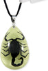 REALBUG Black Scorpion Glow in The Dark Necklace, Small...
