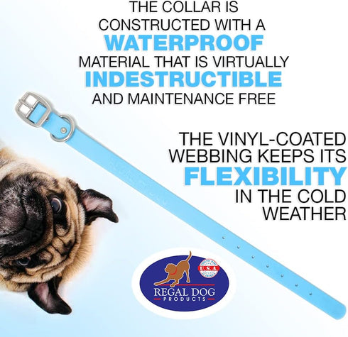 Regal Dog Products Large Light green Dog Collar with Heavy Duty Double Buckle & D Ring | Vinyl Coated, Custom Fit, Adjustable Biothane Dog Collar ...