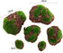 6Pcs Foam Moss Green Hay Stone DIY Family Garden Decoration Vase Glass Moss Miniature Landscape Artificial Plant...