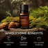Gya Labs Cypress Essential Oil for Diffuser - 0.34 Fl Oz - 100% Pure Natural Cypress Oil for Candle Making Scent & Aromatherapy - Invigorate & Ref...