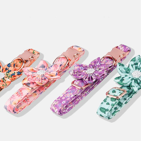 Dog Collar, Girl Dog Collar Puppy Collar Floral Pattern Dog Collar Cute Dog Collar with Detachable Rhinestone Flower for Female Dogs Small Medium ...