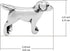 Boma Jewelry Sterling Silver Labrador Retriever Dog Stud Earrings...
