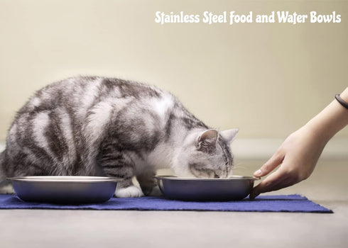Stainless Steel Cat Bowls, Whisker Fatigue Relief Cat Food Dish, Metal Shallow Wide Large Replacement Plate for Dog and Pet, Ideal for Raised Elev...