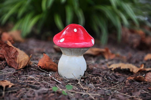 G & F 10043 MiniGardenn Fairy Garden Miniature Premium Collection Life Size Mushroom Statue (Set of 2), Red...