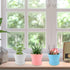 Flower Pots,Plant Pots,8 PCS Plastic Pots for Plants,4.7" Small Plant Pots,Succulent Pots,Planters for Indoor Plants,Nursery Pots,Herb Garden Plan...
