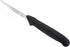 Mercer Culinary BPX Paring Knife, 4-Inch...