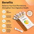 Gut Balance Gut Health, Immunity | Probiotics + Inulin + Vitamin C | 30 Days Pack...