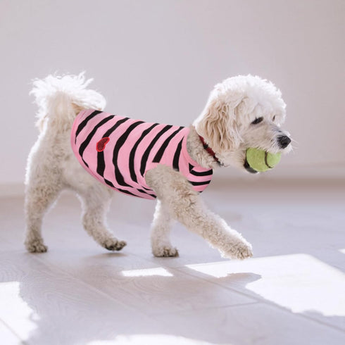 Queenmore Dogs Cats Cotton Vest,Dog Striped T-Shirt,Soft Cool TShirts Sleeveless Stripe Vests for Small Medium and Large Dogs&Cats...