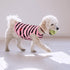 Queenmore Dogs Cats Cotton Vest,Dog Striped T-Shirt,Soft Cool TShirts Sleeveless Stripe Vests for Small Medium and Large Dogs&Cats...