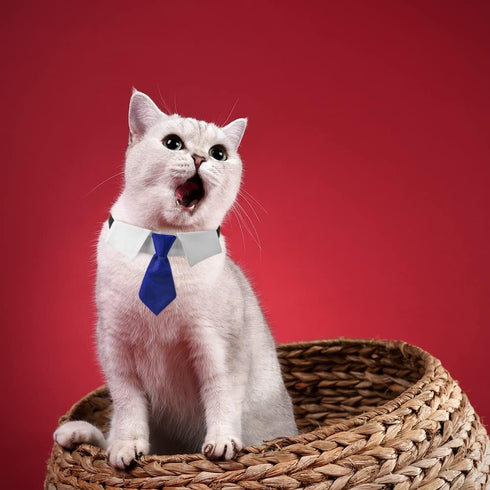 Dog Collar, Soft Polyester Dog Bow Tie with Metal Buckle for Large, Medium and Small Boys Cat Dog Tie (Medium, Blue/White)...