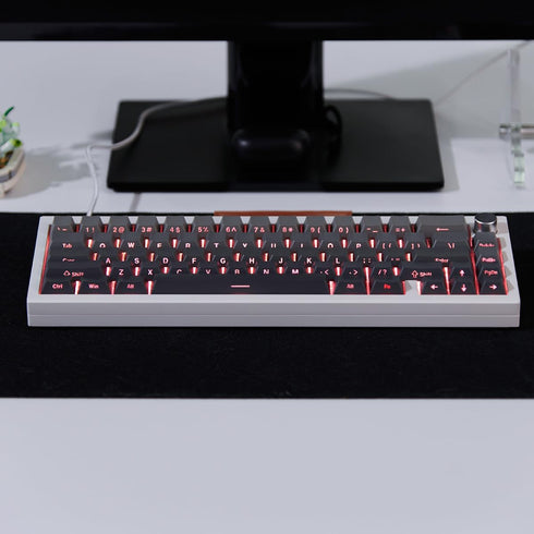 Grey Gradient Keycaps, Pbt Doubleshot Cherry Profile Keycaps, Side Printed Keycaps, Backlit Shine Through Keycaps,136 Keys Keycap Set for Mechanic...