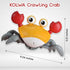 Cute Crawling Crab Baby Toys with Rechargeable Battery: Tummy Time Gift for Infants Toddlers Learning to Crawl or Walk Toy Lights Up with Music fo...