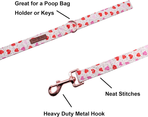 Lionet Paws Valentine's Day Dog Leash Matching Dog Collar for Small Medium Large Dog...
