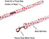 Lionet Paws Valentine's Day Dog Leash Matching Dog Collar for Small Medium Large Dog...