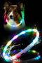 Waterproof LED Dog Collar USB Rechargeable Light Up Dog Collars Lights for Night Walking Lighted Safety Training & Behavior Aids for Small Medium ...